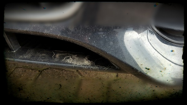 Auto waschen, aber bitte richtig!