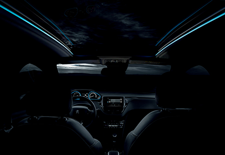 Peugeot 2008 Dach