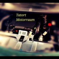 Vorbeugen gegen Marder im Auto damit der Motorraum nicht zum Tatort wird