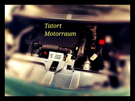 Vorbeugen gegen Marder im Auto damit der Motorraum nicht zum Tatort wird