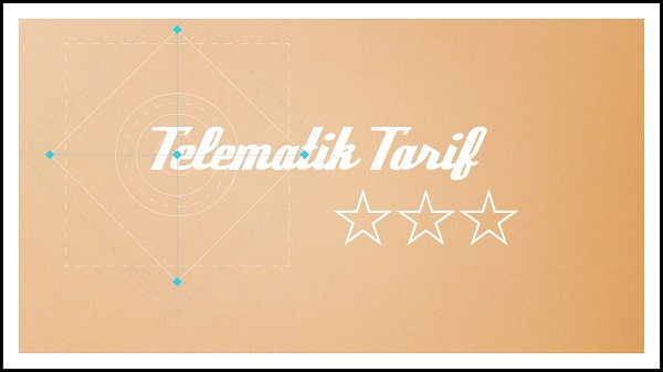 Telematik Tarif Vorteile